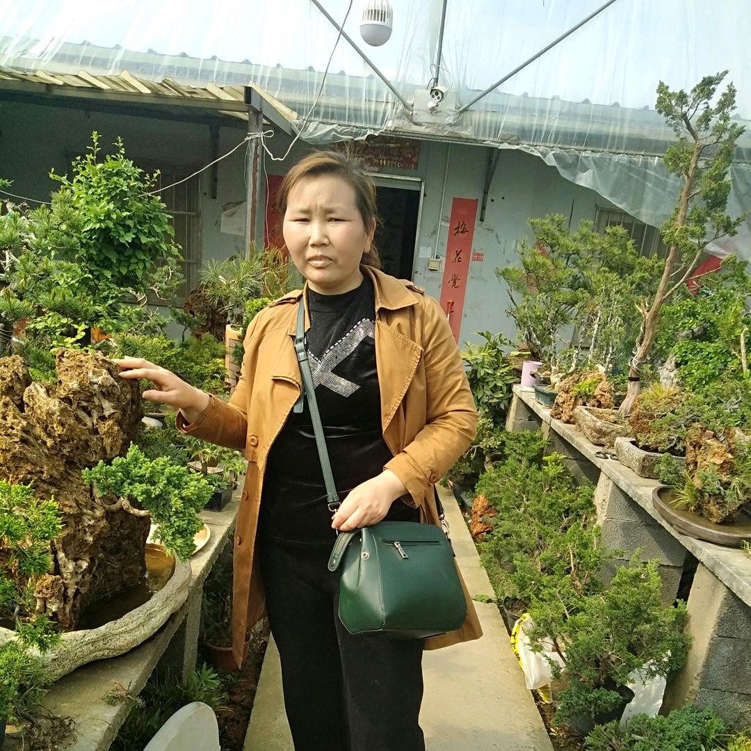 夏天丽娜