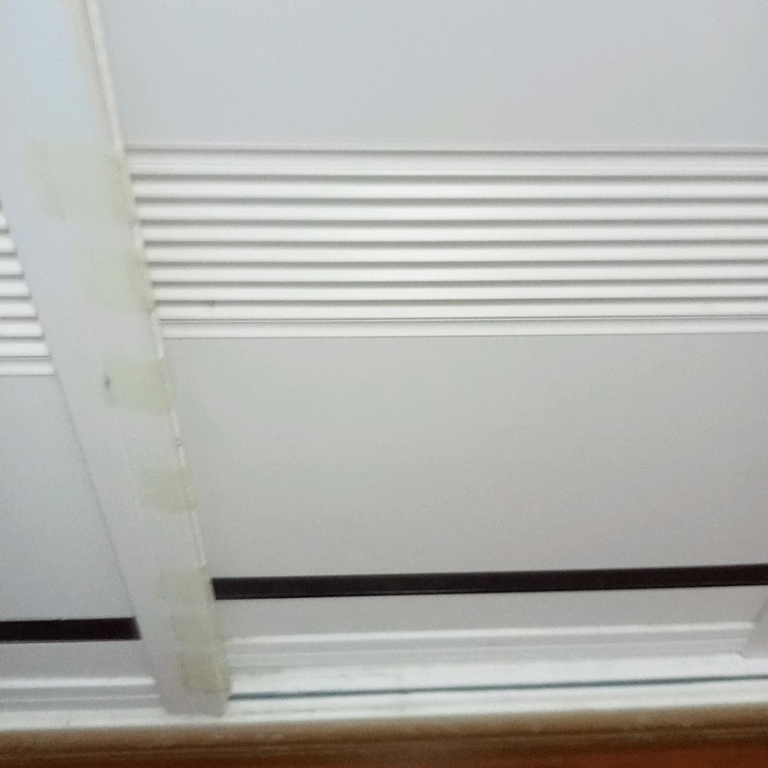 袁大姐