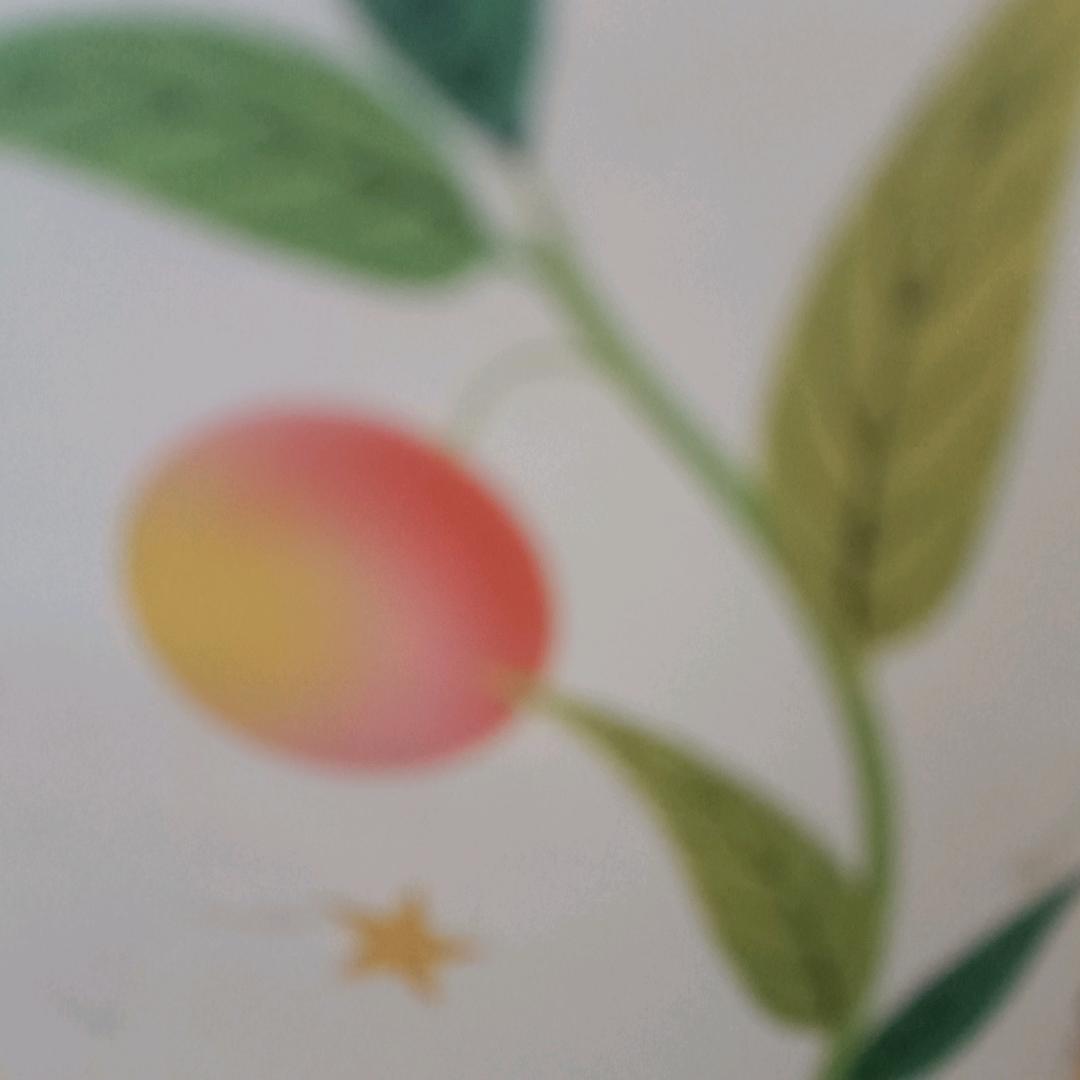 枫的呼唤