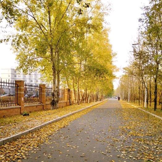 移动网络小柏😎