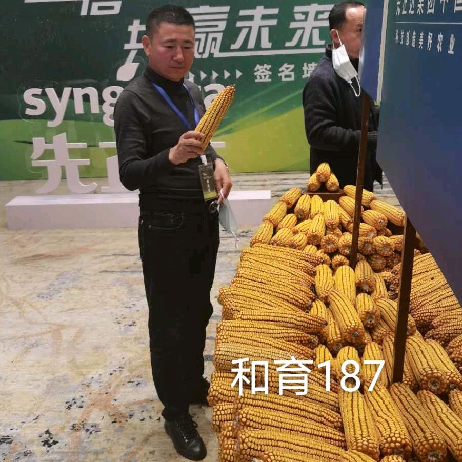 林口县金丰公社农业服务有限公司