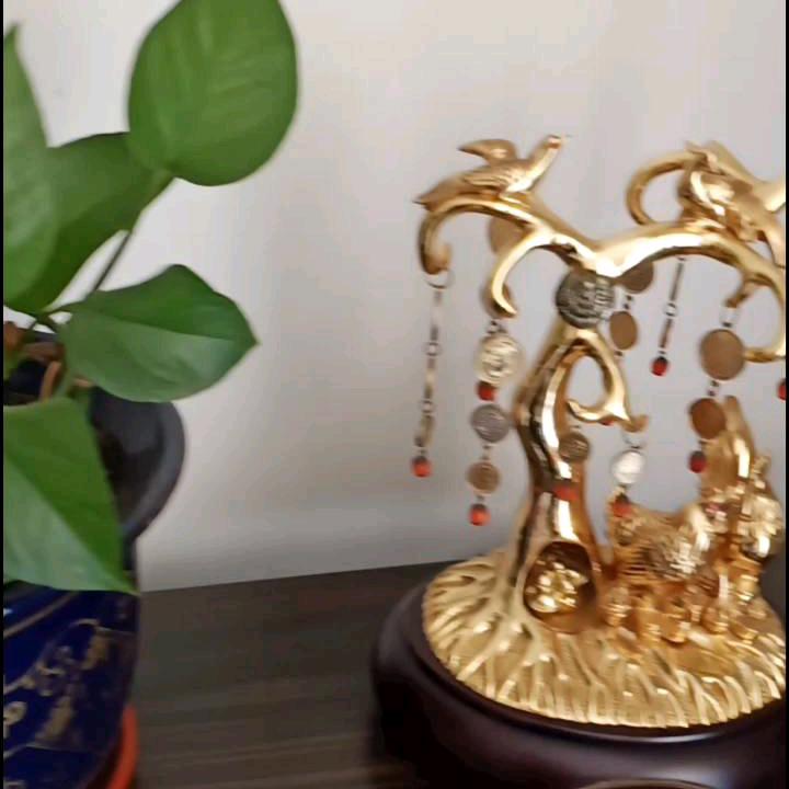 强哥（挺好的）