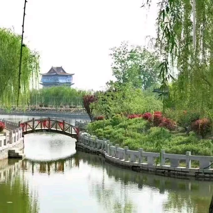 现实如故