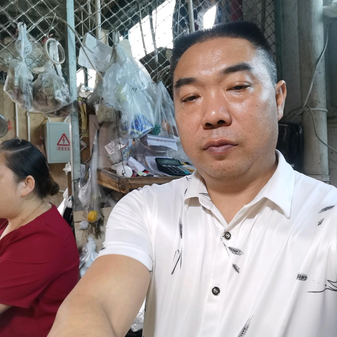 春天的阳光57278399