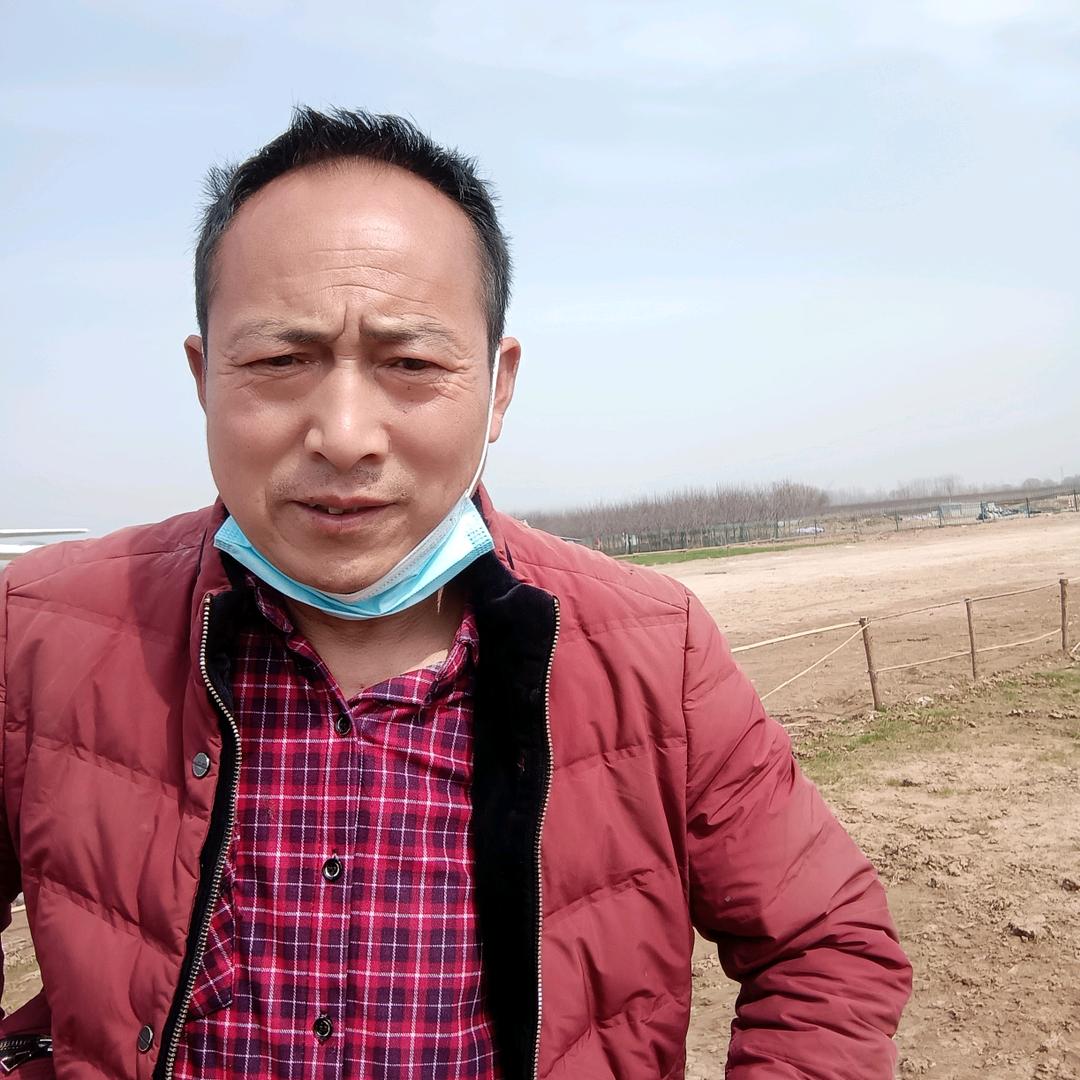 健康服务咨询