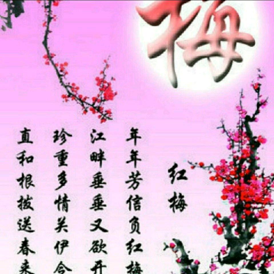 梦梅