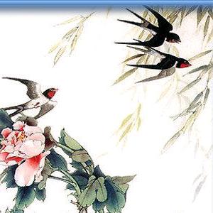 丰宁燕子(橱窗好物分享）