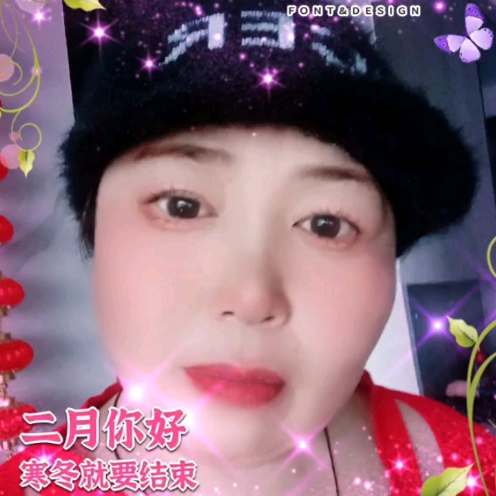 金乡胖姐新疆和田大枣直销