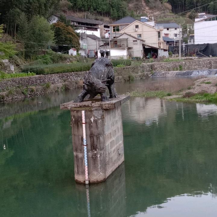 真好