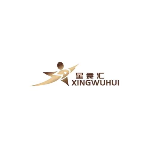 祁东⭐星舞汇⭐（招生中）