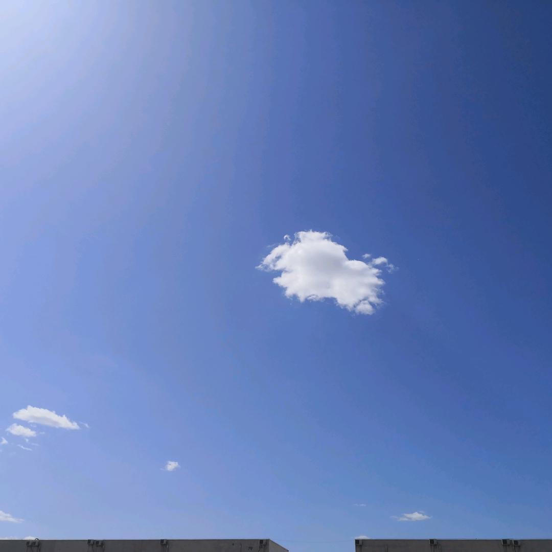 晓晨