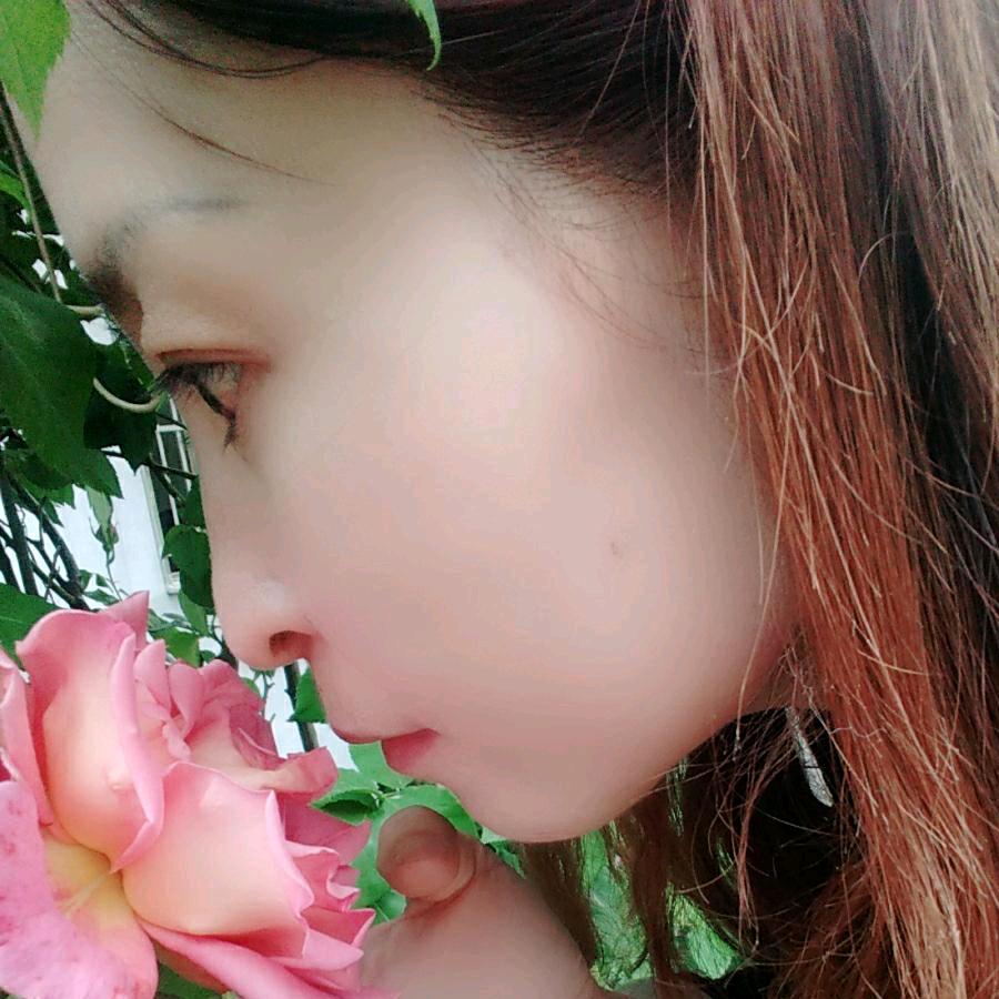 @燕子