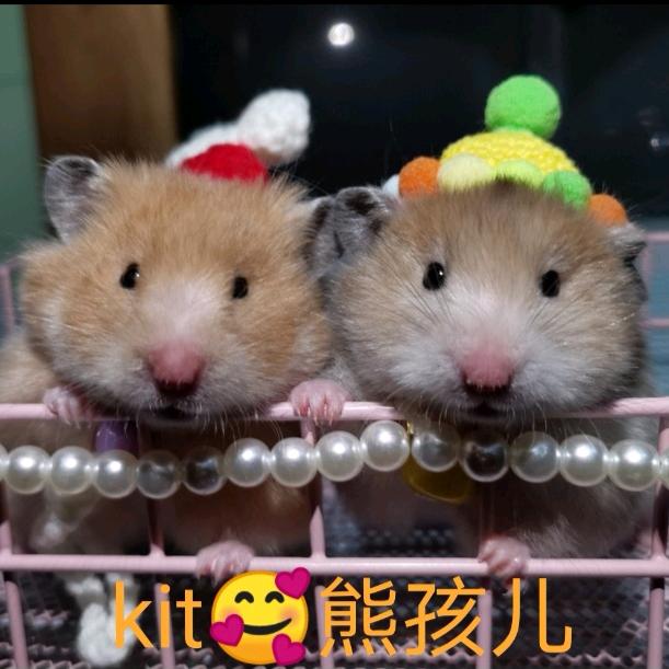 Kit🥰熊孩儿