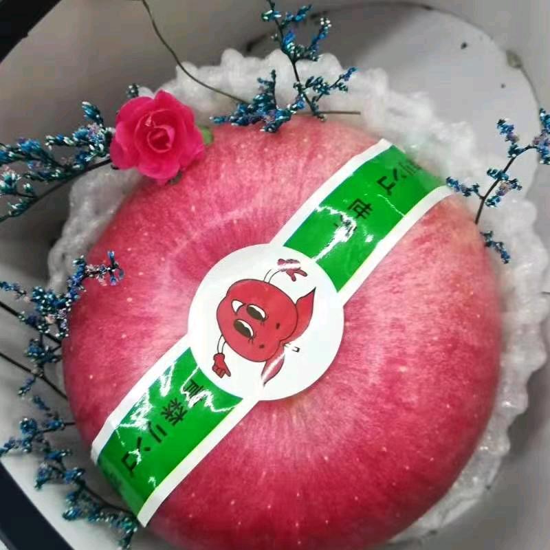 我是你们的富婆姐