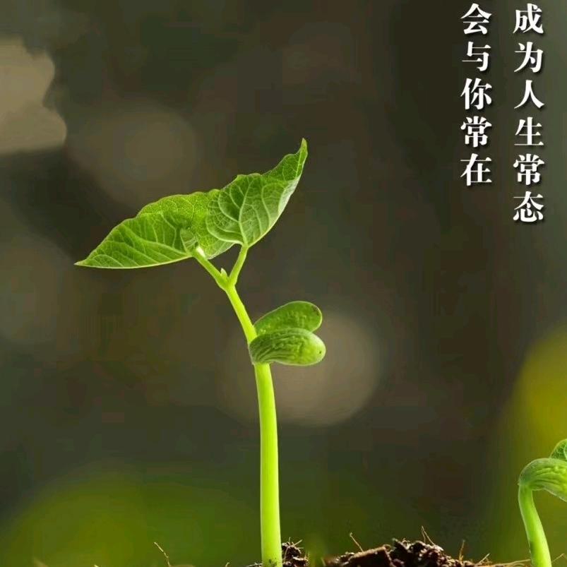 皇婴汇母婴生活馆(夏店店)专用号