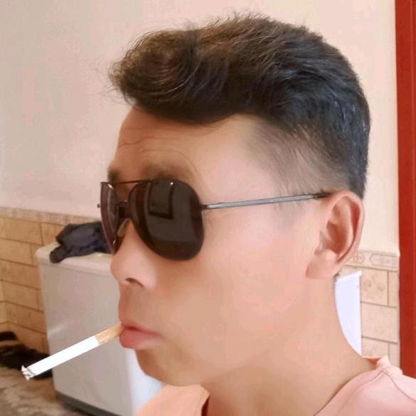 沙漠骆驼