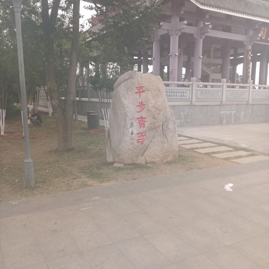 失心人
