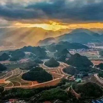 🌞树琴玲任🌙