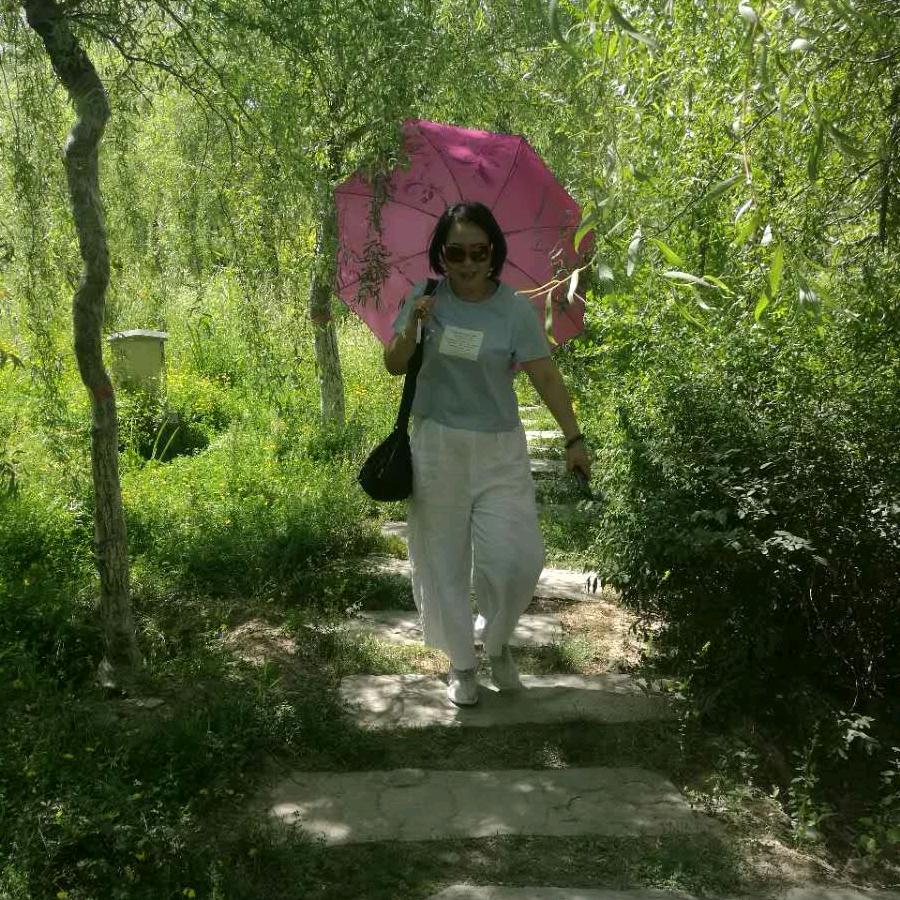 银杏树头像