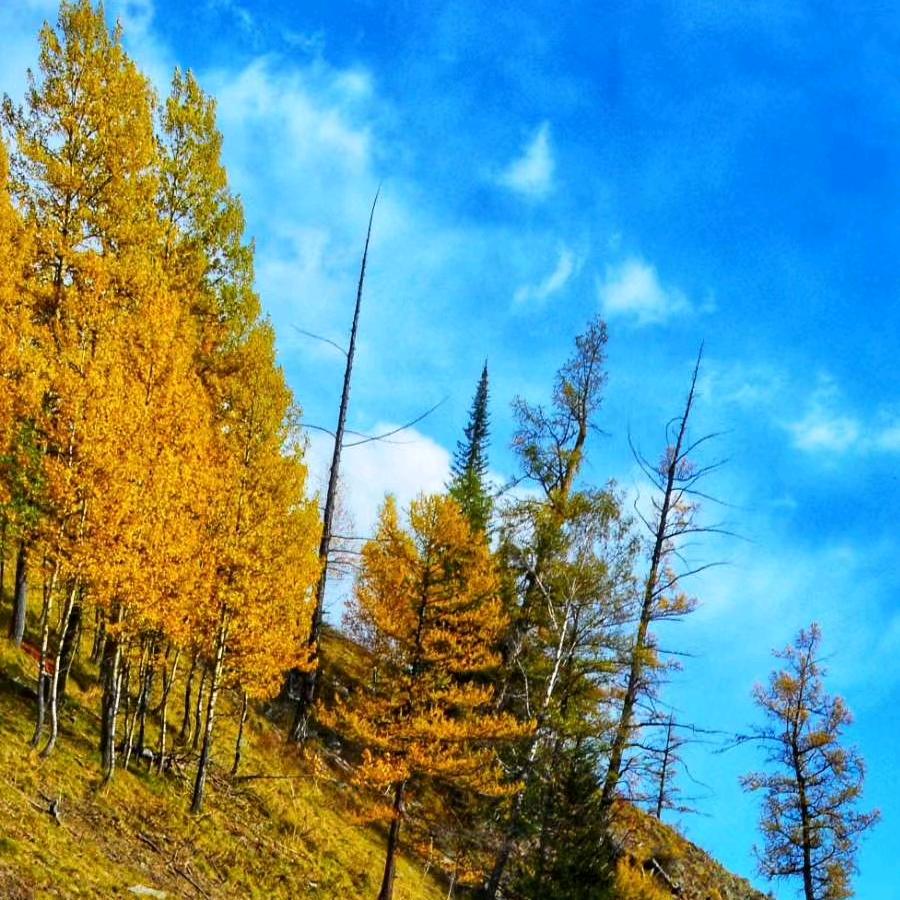 花期有约民宿庄园官方号