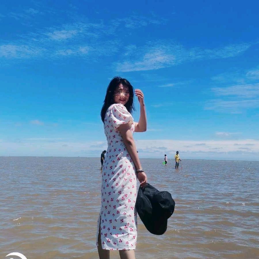 ✨小杨小杨   天天放羊