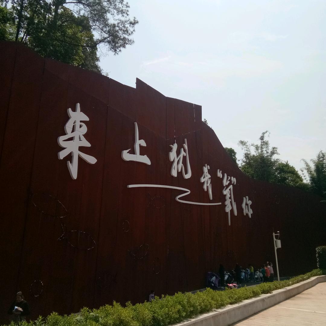 有