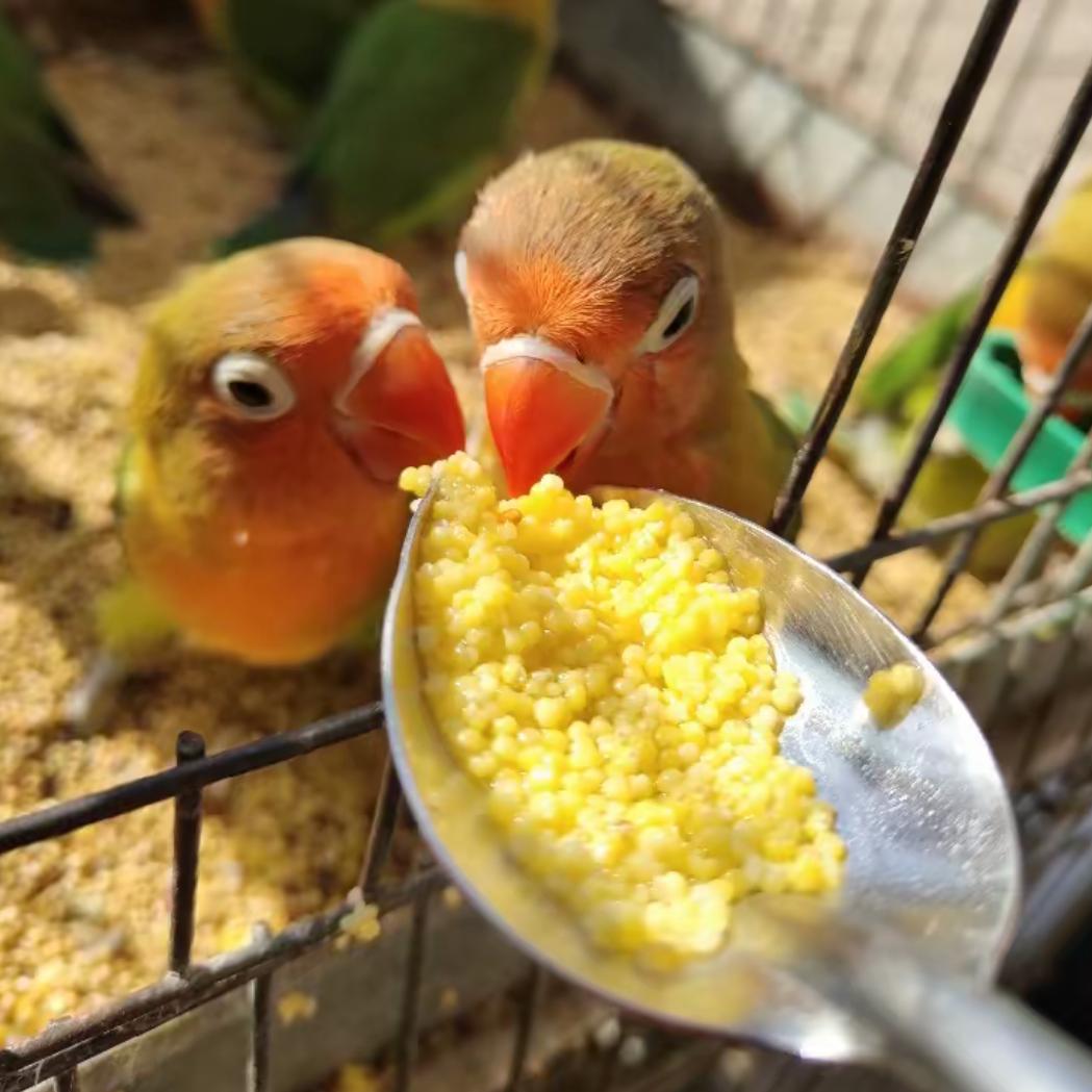 宝贝瑞瑞，菡菡