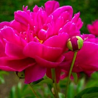 开心果ヽ(○^㉨^)ﾉ♪