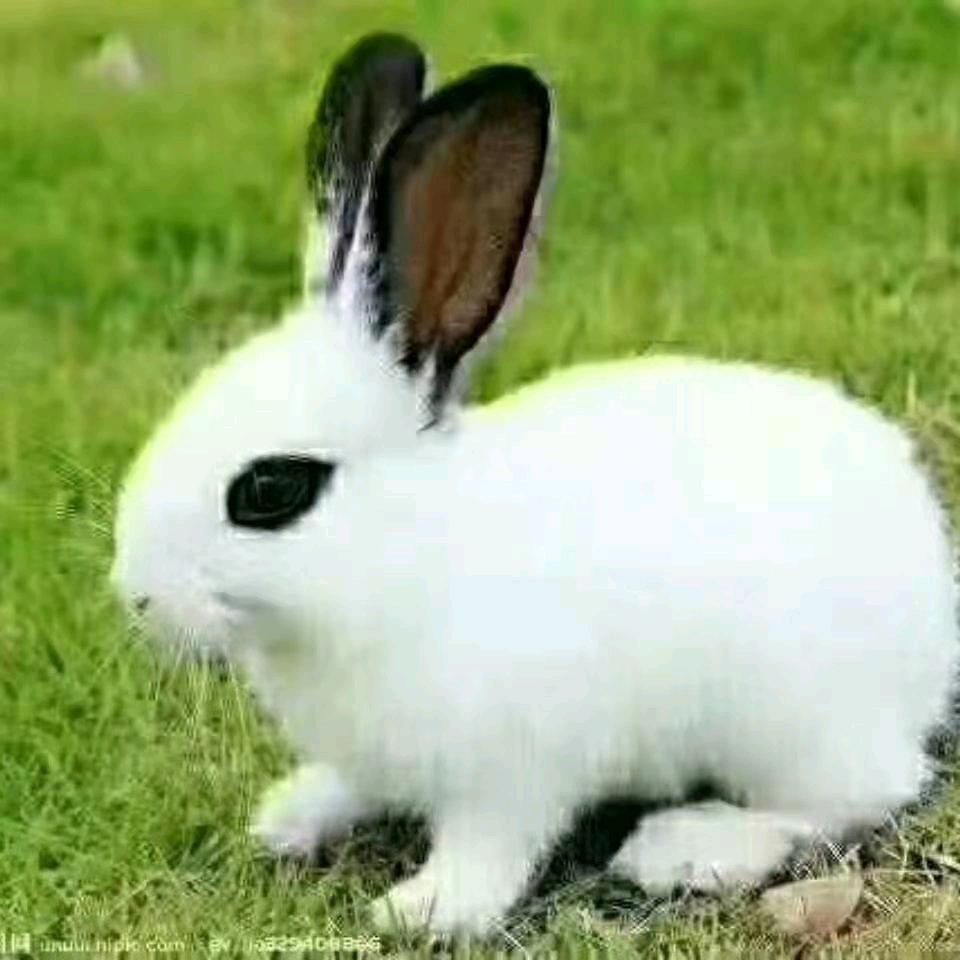 随缘