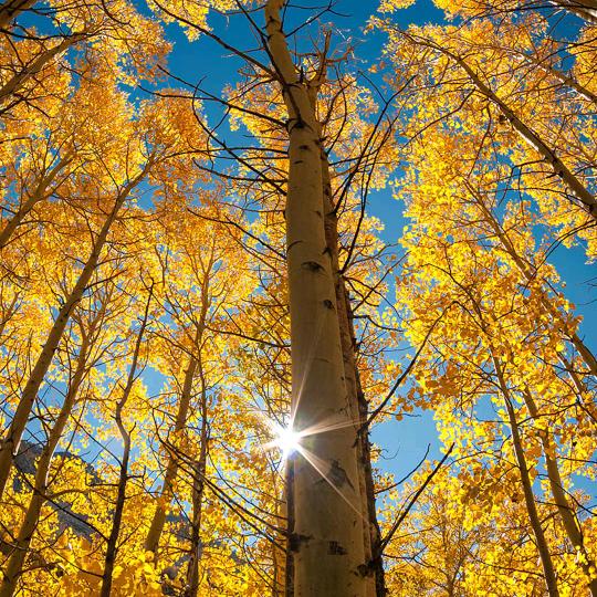 人生没有下辈子