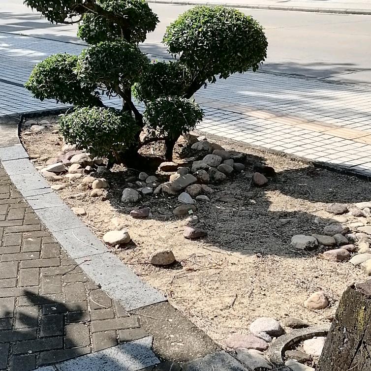 一年又一年