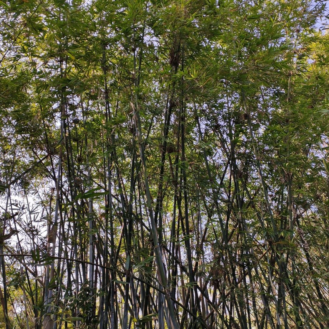 奋上头像