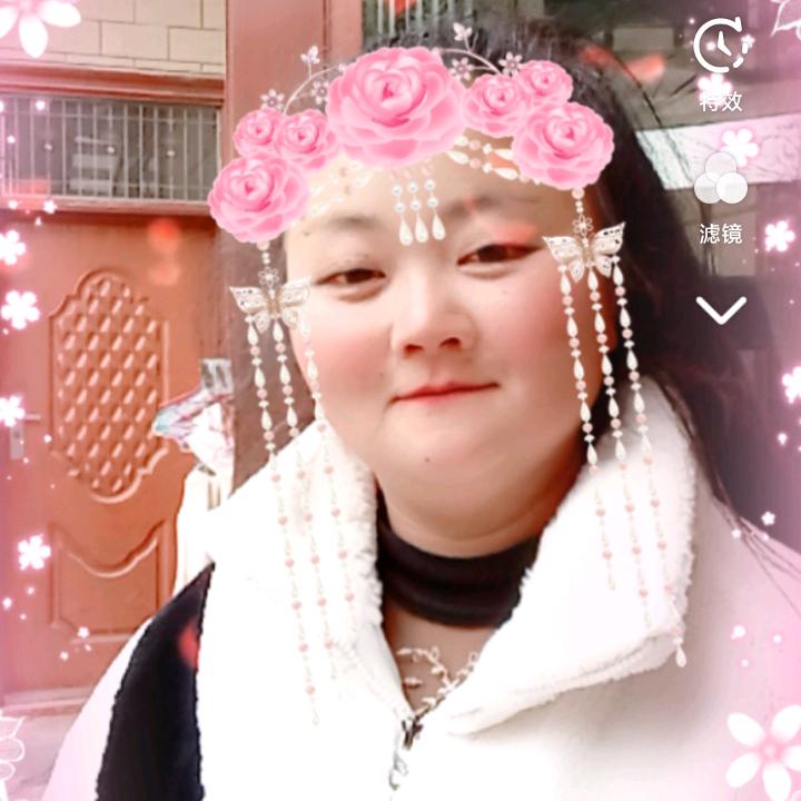 会飞的鱼