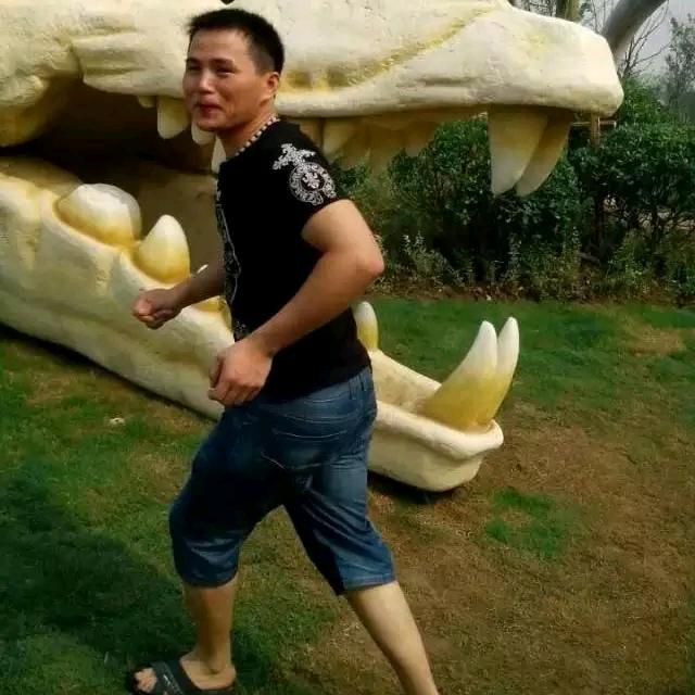 打不死的小强