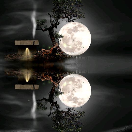 呐喊强哥万万岁