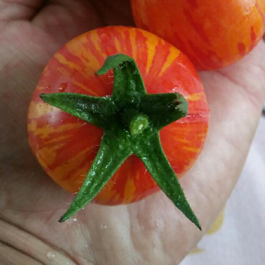 专业水电维修