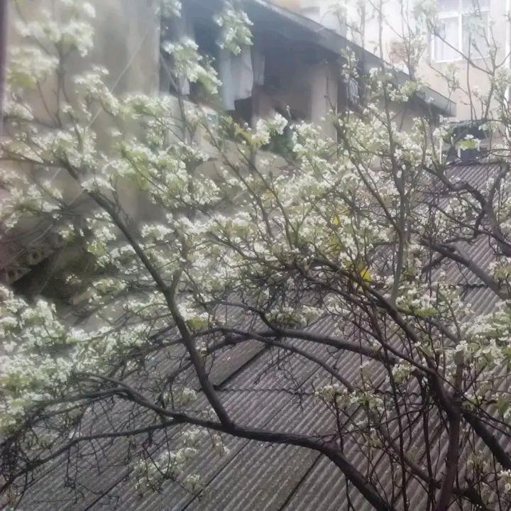 外
