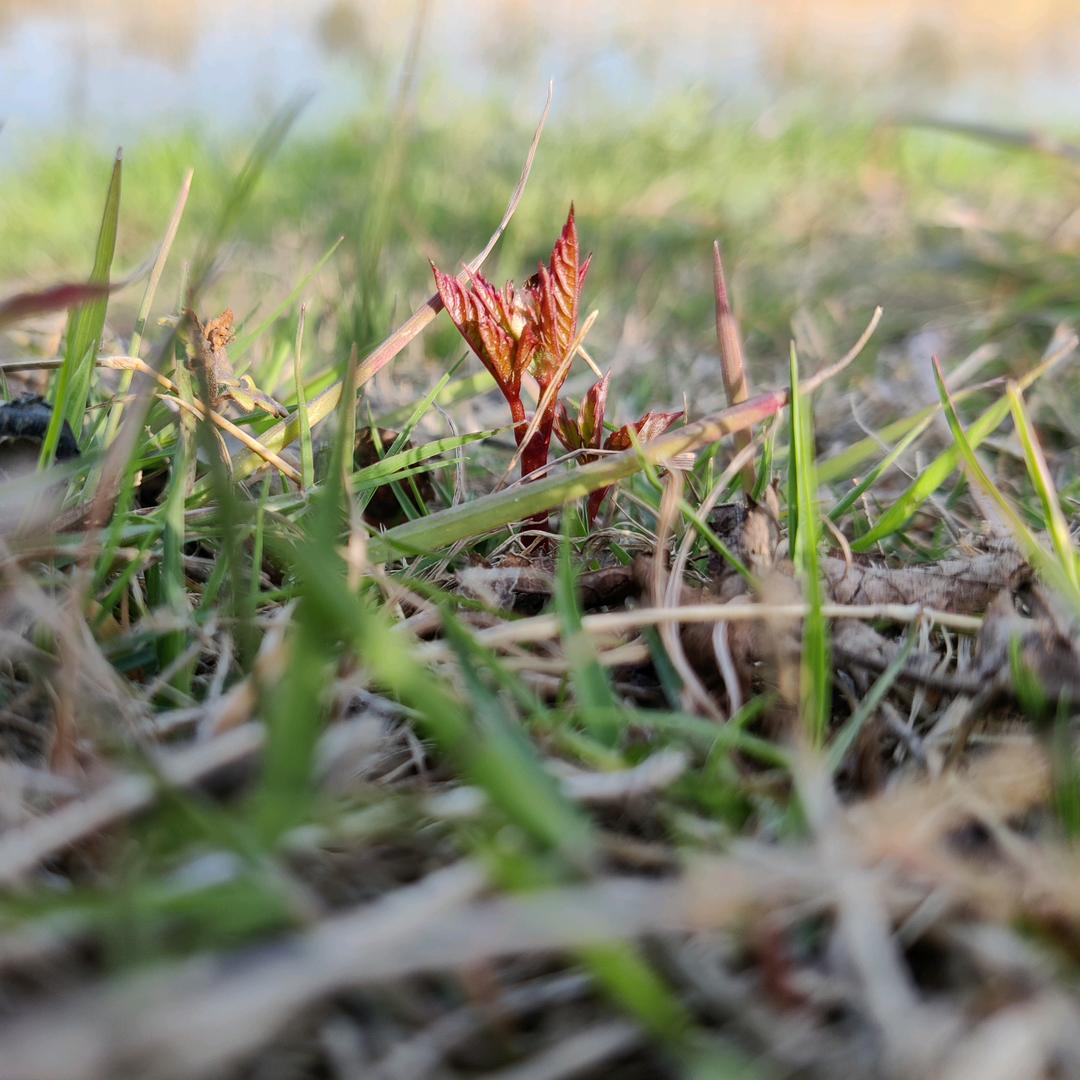 ̶ོൢ̶人̶间̶̶ོོ