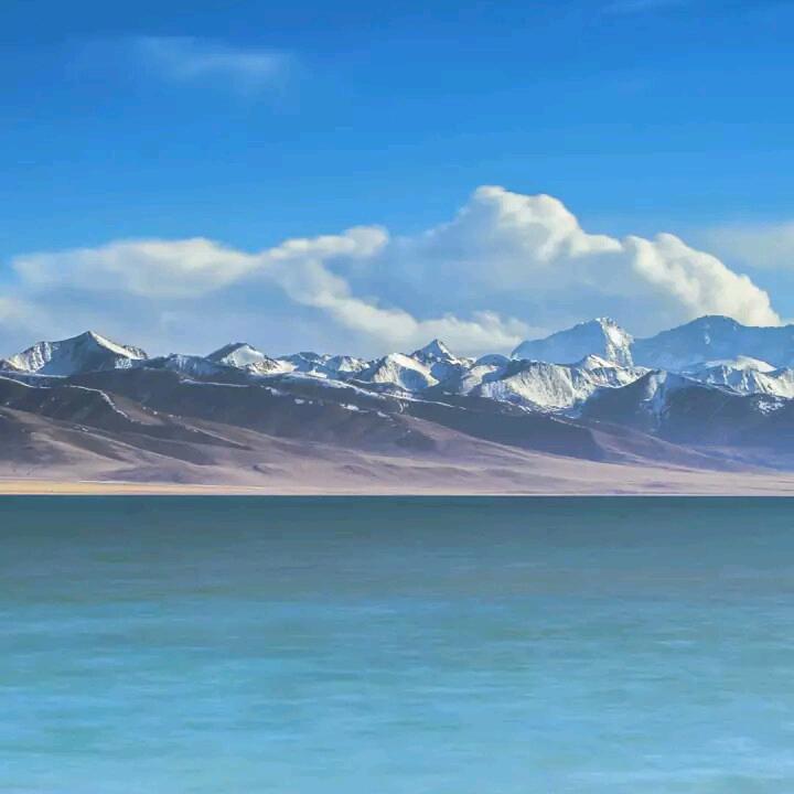 东风驾校李教练