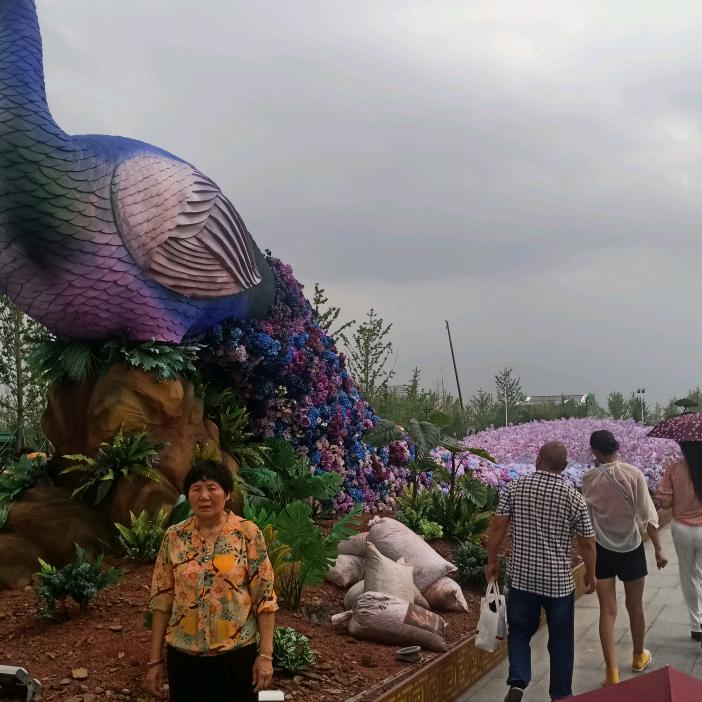 用户俺是周口农村人