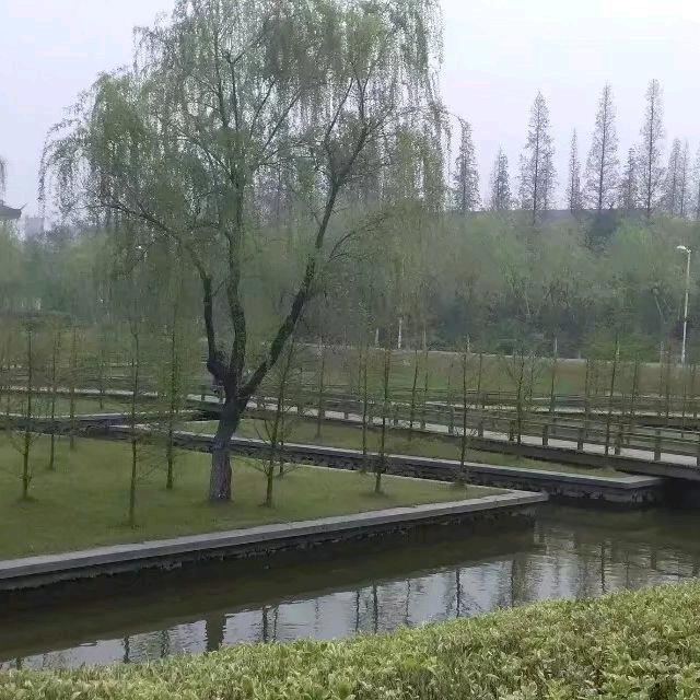 夏卫军