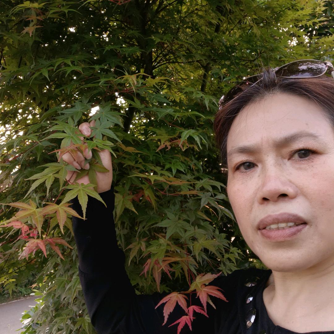 笑对人生之旅