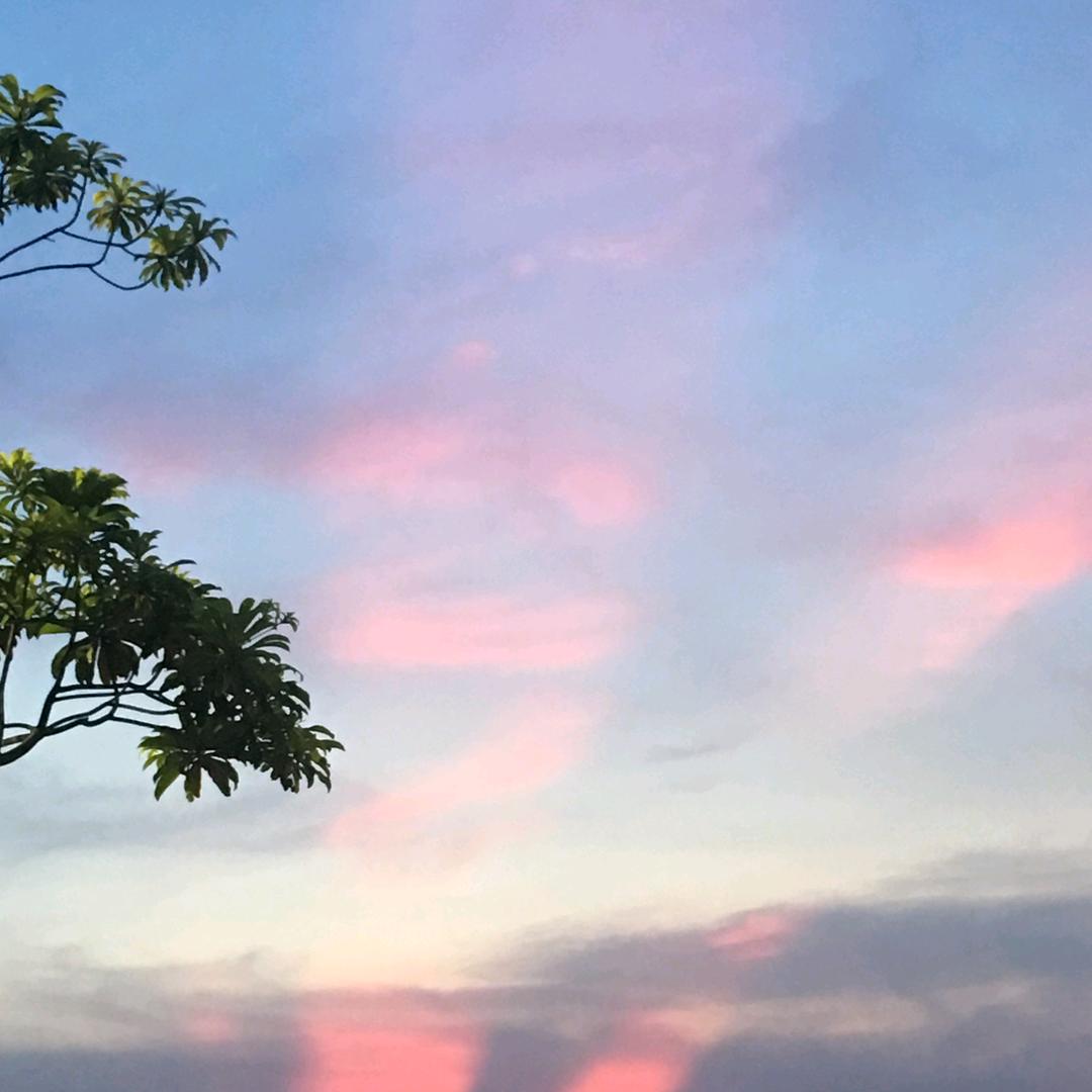 有一种勇气叫迎接你的文