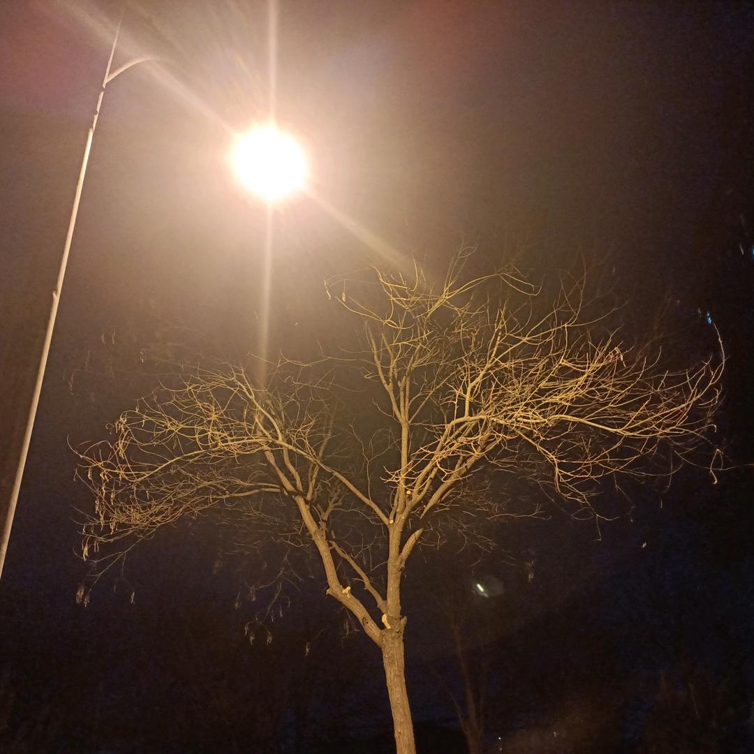 咗籩