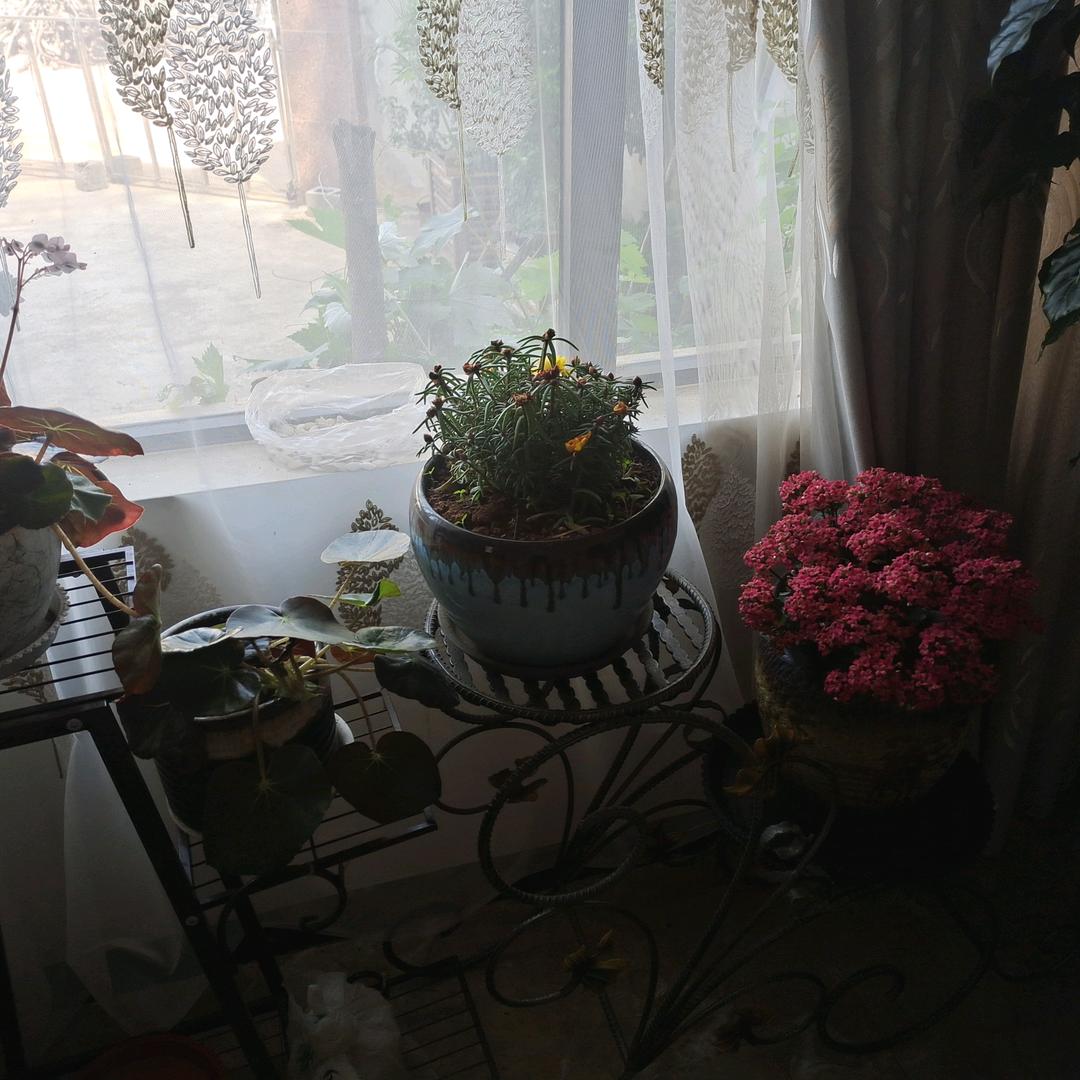 茶若醉人何须酒