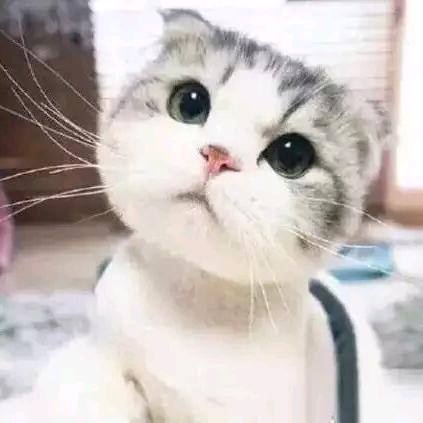 娜娜