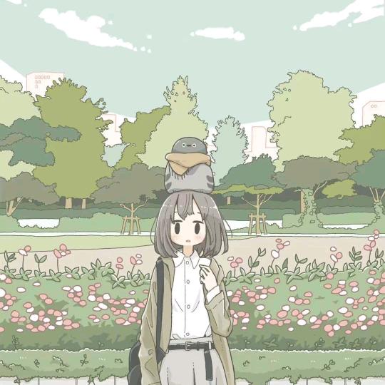 小桉