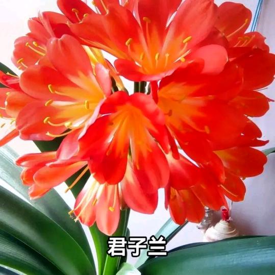 牵手