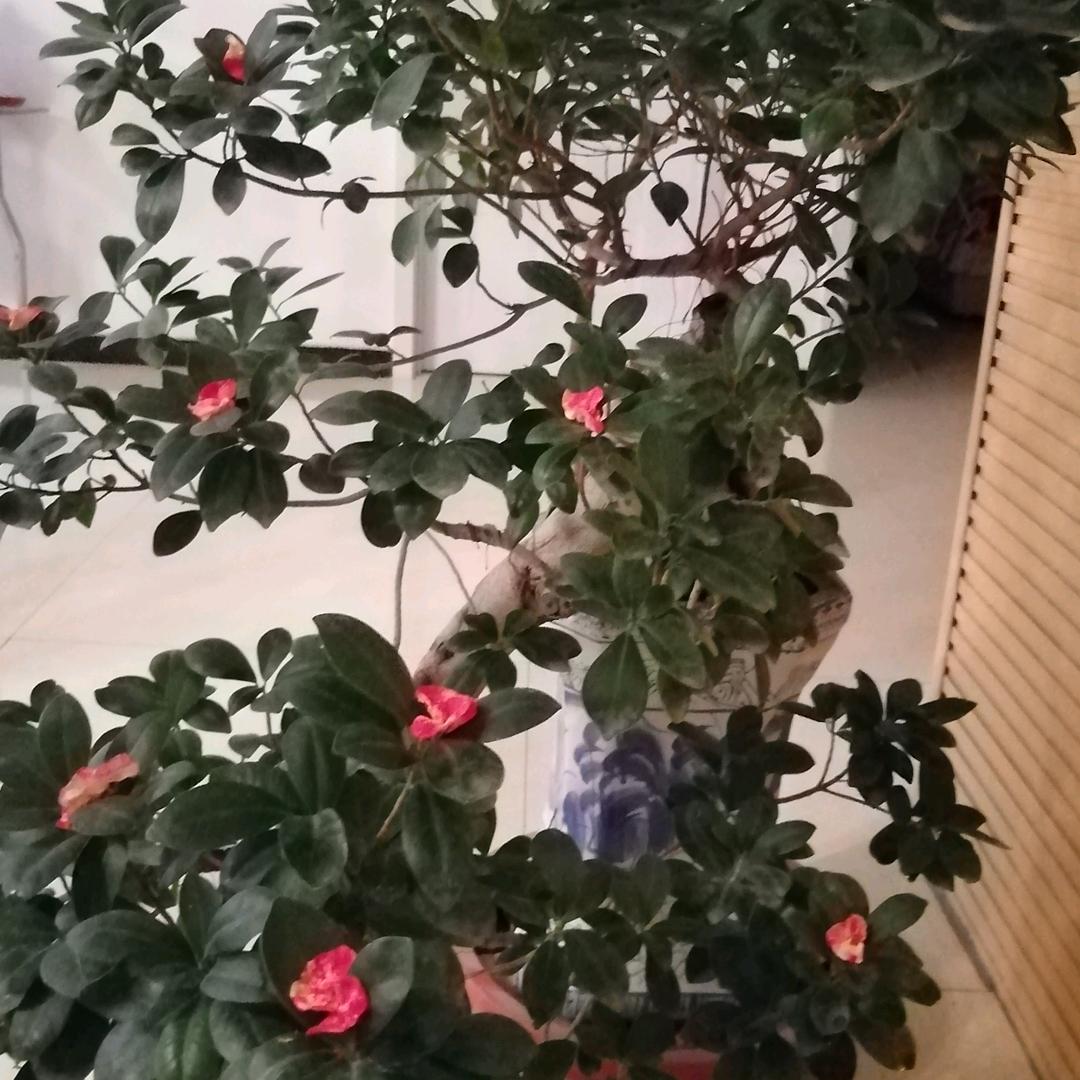 用户383959国家兴亡，匹夫有责