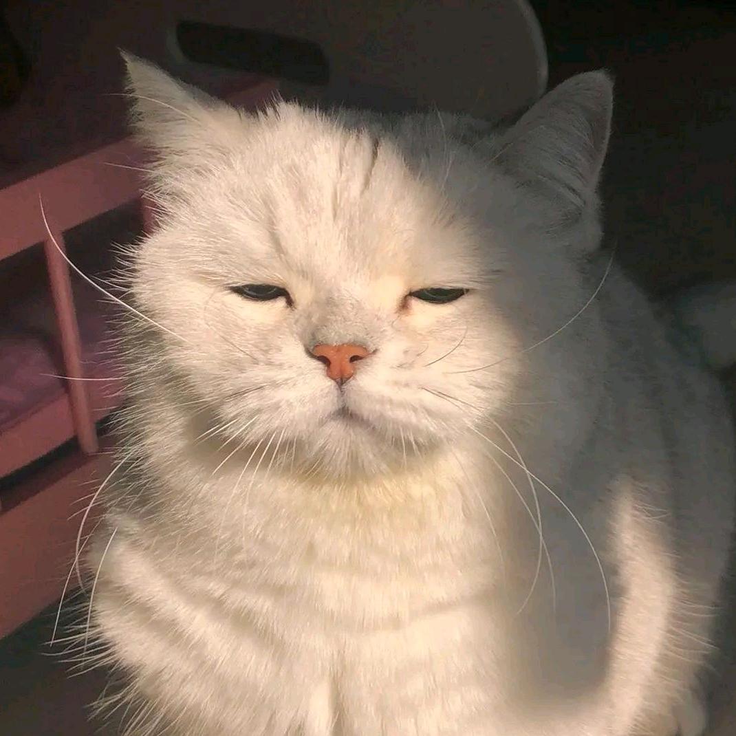 荼丨晓生